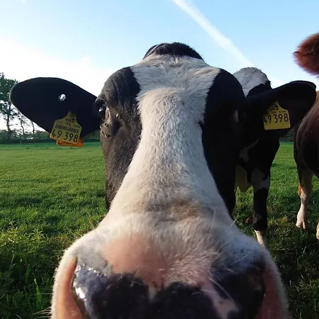 アパート De Leev - Luebbertsfehn Ihlow