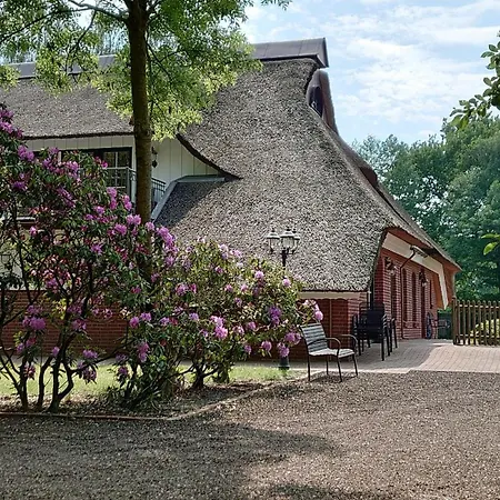 De Leev - Lübbertsfehn *